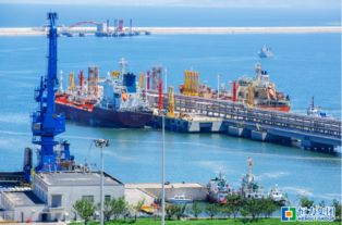 恒力股份著力推進煉化一體化項目建設 謀求多方共贏