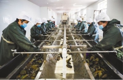 大連市 做強優勢農業產業，筑牢鄉村振興之基