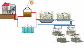 農村濕地生態園工程設備與廢水治理方案——浦清環保科技的創新實踐